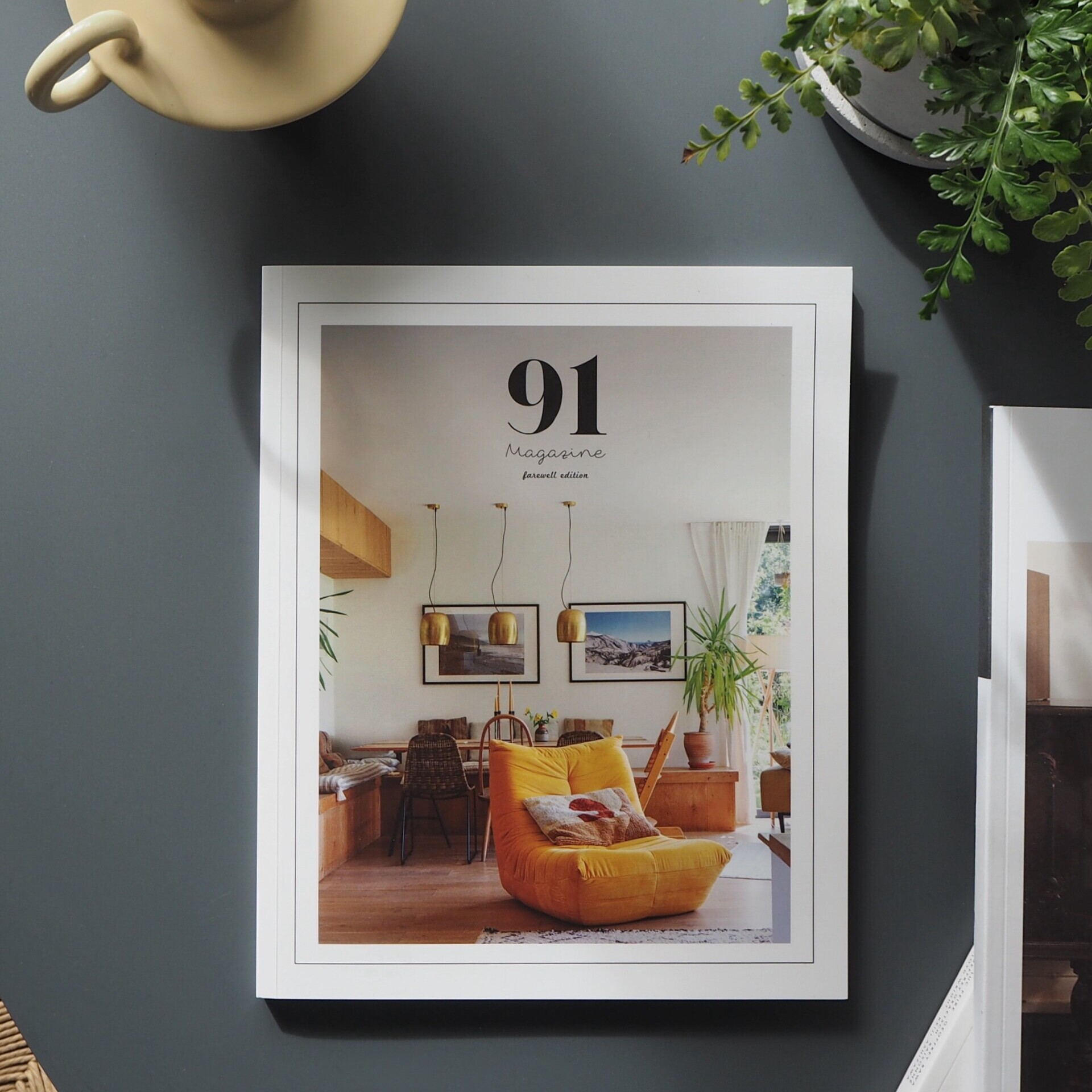 91 Magazine: Volume 20 – Editorial Feature