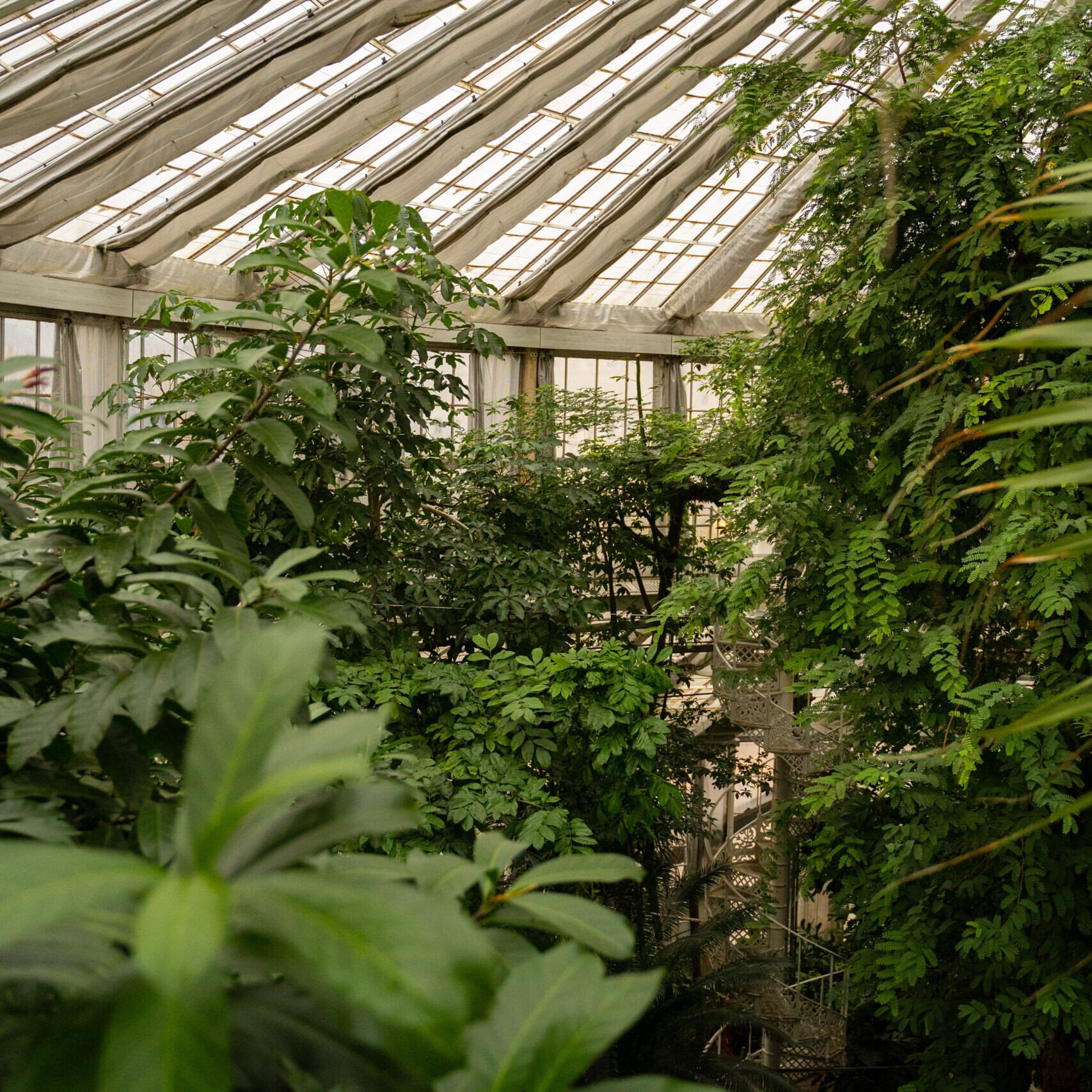 An insider’s guide to: Easter in Copenhagen