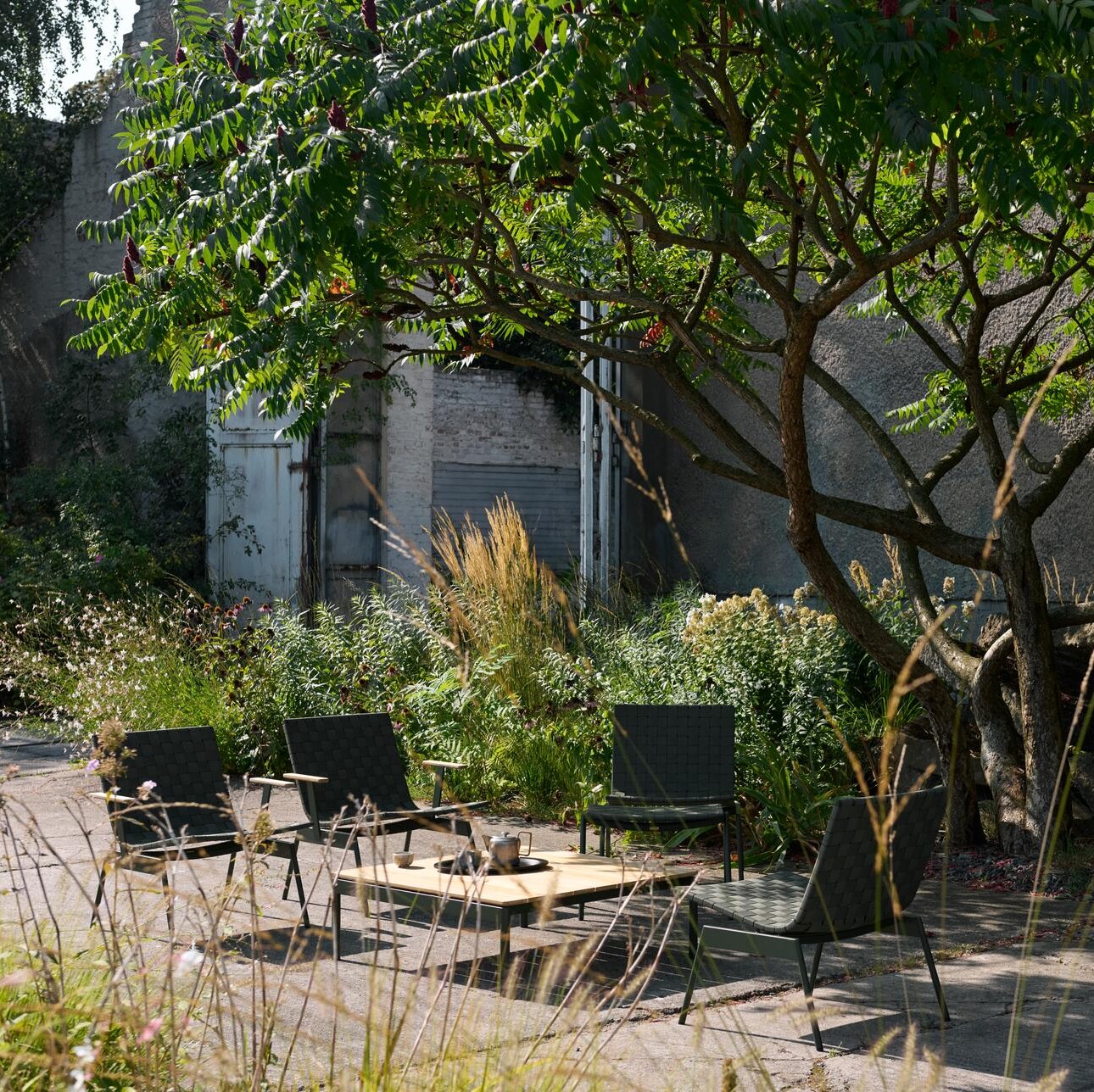 Japandi Outdoor Living – My chat with Laila Rietbergen